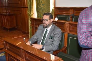 Pleno ordinario de enero de 2020 (Foto TA)